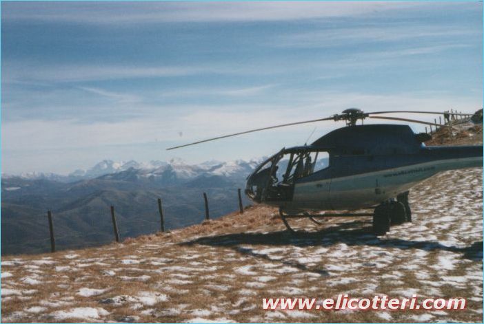elifoto (28)